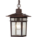 Cove Neck Outdoor (Damp) Lantern by Nuvo Lighting