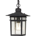 Cove Neck Outdoor (Damp) Hanging Lantern by Nuvo Lighting