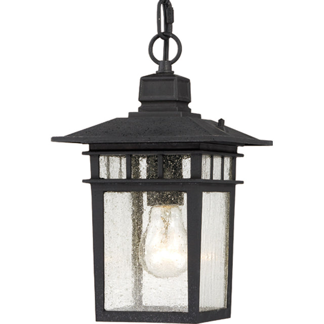 Cove Neck Outdoor (Damp) Hanging Lantern by Nuvo Lighting