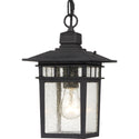 Cove Neck Outdoor (Damp) Hanging Lantern by Nuvo Lighting