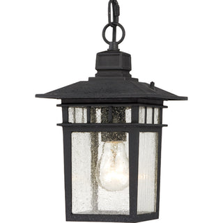 Buy textured-black-with-clear-seeded-glass Cove Neck Outdoor (Damp) Lantern by Nuvo Lighting