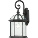 Boxwood Outdoor (Wet) Wall Lantern by Nuvo Lighting