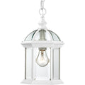 Boxwood Outdoor (Damp) Hanging Lantern by Nuvo Lighting