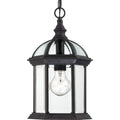 Boxwood Outdoor (Damp) Hanging Lantern by Nuvo Lighting