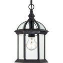Boxwood Outdoor (Damp) Lantern by Nuvo Lighting