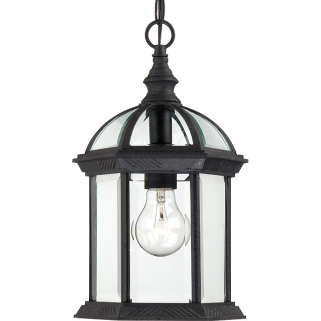 Boxwood Outdoor (Damp) Hanging Lantern by Nuvo Lighting