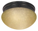 Flush Mounts Outdoor (Damp) Flush Mount Light by Nuvo Lighting