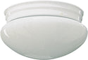 Plain Mushrooms Outdoor (Damp) Ceiling Mount Light by Quorum