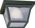 Ceiling Mounts Outdoor (Damp) Ceiling Light by Quorum