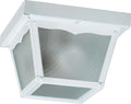 Ceiling Mounts Outdoor (Damp) Ceiling Mount Light by Quorum
