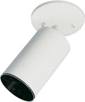 Bullet Fixtures Outdoor (Damp) Ceiling Mount Light by Quorum