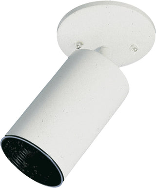 Bullet Fixtures Outdoor (Damp) Ceiling Mount Light by Quorum