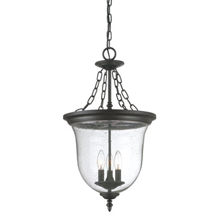 Belle Hanging Lanterns by Acclaim Lighting