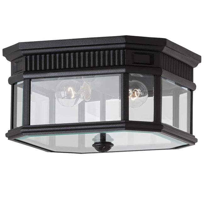 Generation Lighting-OL5413BK|MAIN
