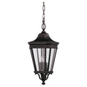 Cotswold Lane Outdoor (Damp) Hanging Lanterns by Generation Lighting