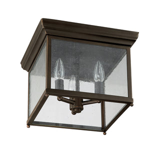 Buy old-bronze-and-clear-seedy-shade Outdoor Flush Mount Ceiling Light by Capital Lighting