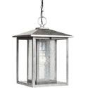 Hunnington Outdoor (Damp) Hanging Lanterns by Generation Lighting