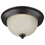 Generation Lighting-77065-710|MAIN