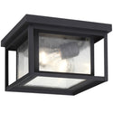 Hunnington Outdoor (Damp) Flush Mount Light by Generation Lighting