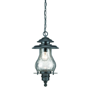 Buy matte-black-with-clear-glass-and-clear-shade Blue Ridge Hanging Lanterns by Acclaim Lighting