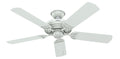 Sea Air Outdoor (Wet) Ceiling Fan by Hunter