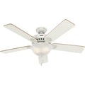 Pro's Best Ceiling Fan with Light by Hunter