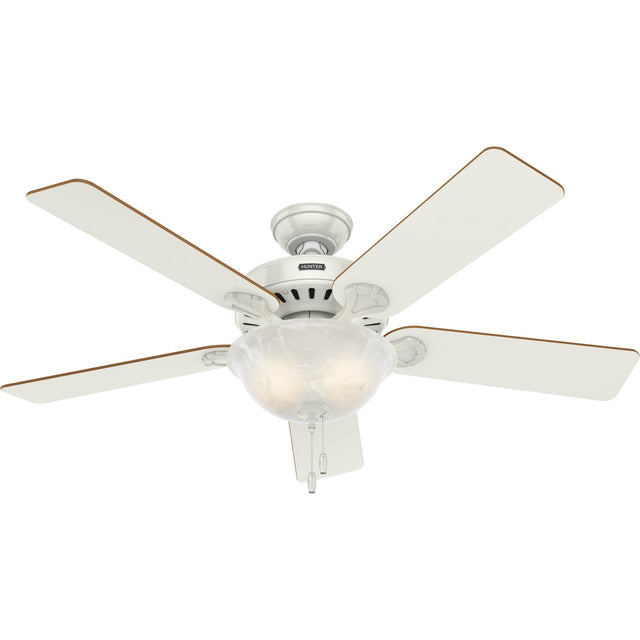 Pro's Best Ceiling Fan with Light by Hunter