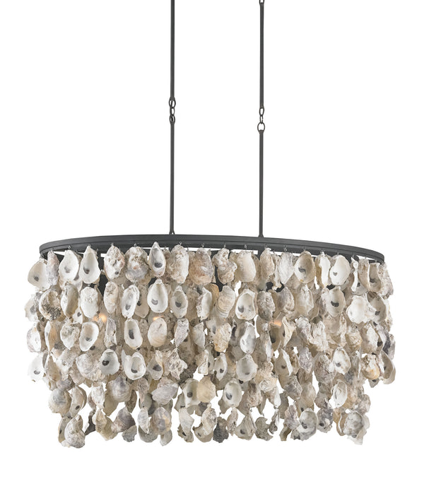 Oyster Shell Collection Chandelier by Currey and Company