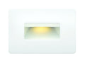 Luna Outdoor (Wet) Step and Wall Light by Hinkley