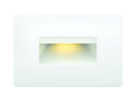 Luna Outdoor (Wet) Step and Wall Light by Hinkley