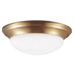 Generation Lighting-75436-848|MAIN