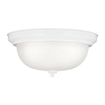 Generation Lighting-77065-15|MAIN