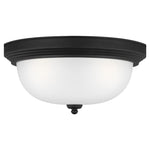 Generation Lighting-77065-112|MAIN