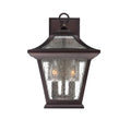 Aiken Wall Lantern by Acclaim Lighting