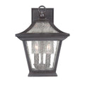 Aiken Wall Lantern by Acclaim Lighting