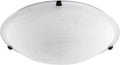 Ceiling Mounts Outdoor (Damp) Ceiling Mount Light by Quorum