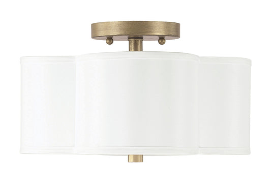 Capital Lighting-4452BG-557|MAIN