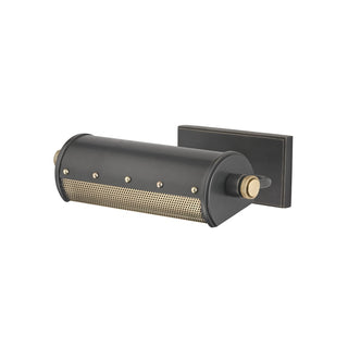 Buy aged-old-bronze Gaines Outdoor (Damp) Picture Light by Hudson Valley