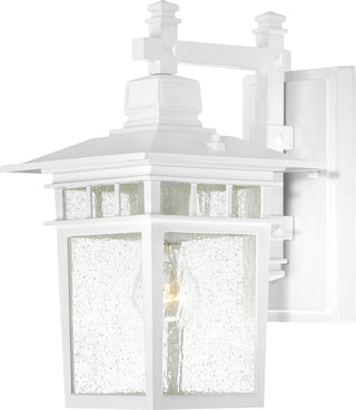 Buy white-clear-seeded-with-clear-seeded-glass-and-clear-shade Cove Neck Outdoor (Wet) Wall Lantern by Nuvo Lighting