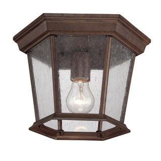 Buy burled-walnut-with-clear-glass-and-clear-seedy-shade Dover Ceiling Light by Acclaim Lighting