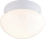 Nuvo Lighting-60-6026|ALT|1