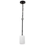 Nuvo Lighting-60-8215|ALT|5
