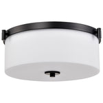 Nuvo Lighting-60-8217|ALT|3
