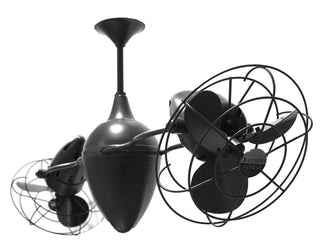 Ar Ruthiane Ceiling Fan by Matthews Fan Company