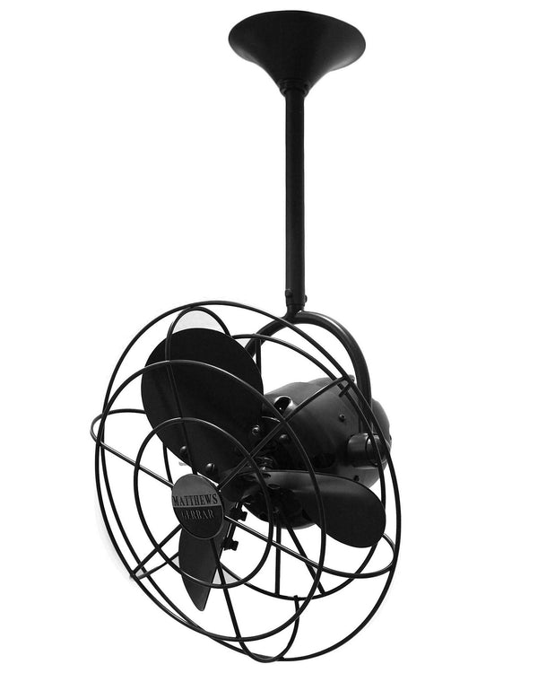 Bianca Direcional Ceiling Fan by Matthews Fan Company