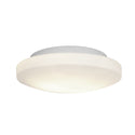 Orion Outdoor (Damp) Flush Mount Ceiling Light by Access