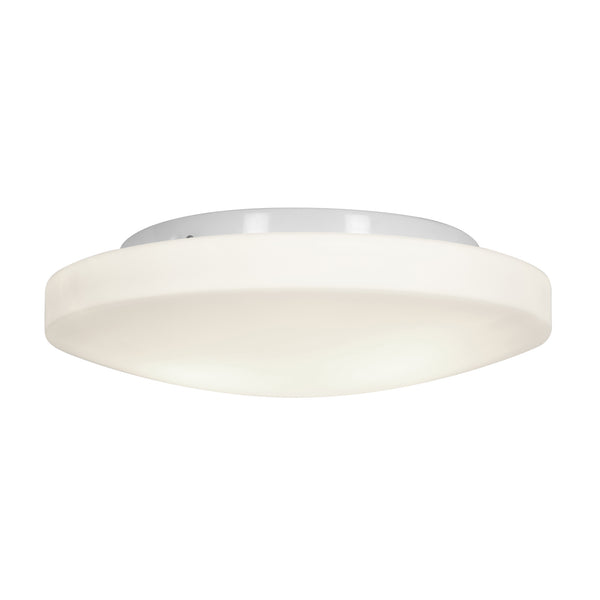 Orion Outdoor (Damp) Flush Mount Ceiling Light by Access