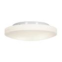Orion Outdoor (Damp) Flush Mount Ceiling Light by Access
