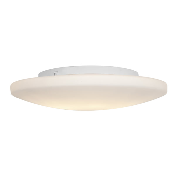 Orion Outdoor (Damp) Flush Mount Ceiling Light by Access