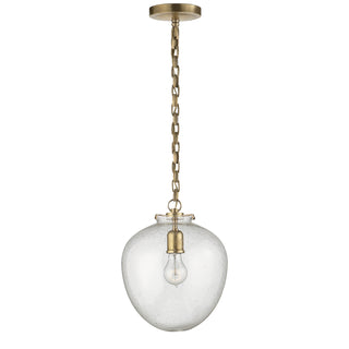 Buy hand-rubbed-antique-brass-with-seeded-glass-glass-and-clear-seedy-shade Katie Acorn Outdoor (Damp) Pendant by Visual Comfort Signature
